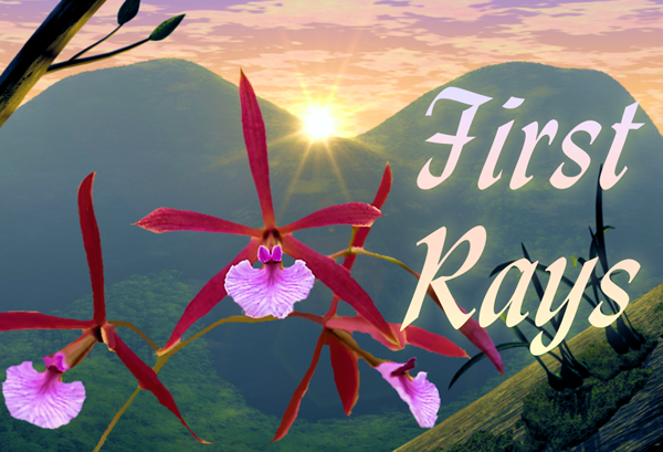 First Rays Named as Primary U.S. Online Retail Outlet for Inocucor ...