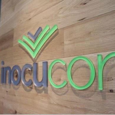 inocucor-wood-wall inocucor-wood-wall