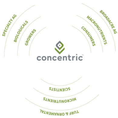 ConcentricGraphic ConcentricGraphic